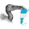 L’Argentine doit verser 1,4 milliard de dollars aux « fonds vautours » — Forex